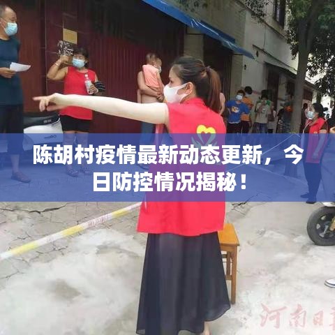 陈胡村疫情最新动态更新，今日防控情况揭秘！