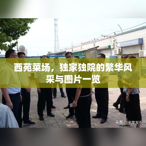 西苑菜场，独家独院的繁华风采与图片一览