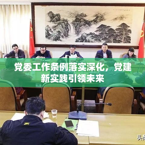 党委工作条例落实深化，党建新实践引领未来