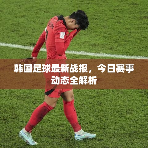 韩国足球最新战报,今日赛事动态全解析