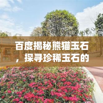 百度揭秘熊猫玉石,探寻珍稀玉石的奥秘之旅