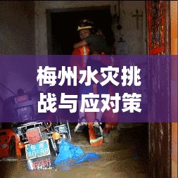 梅州水灾挑战与应对策略，城市新闻头条揭秘影响及应对之道