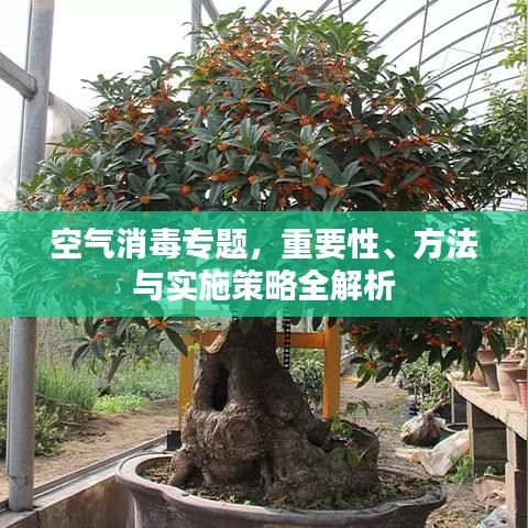 空气消毒专题,重要性、方法与实施策略全解析