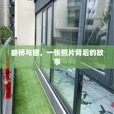 断桥与窗，一张照片背后的故事