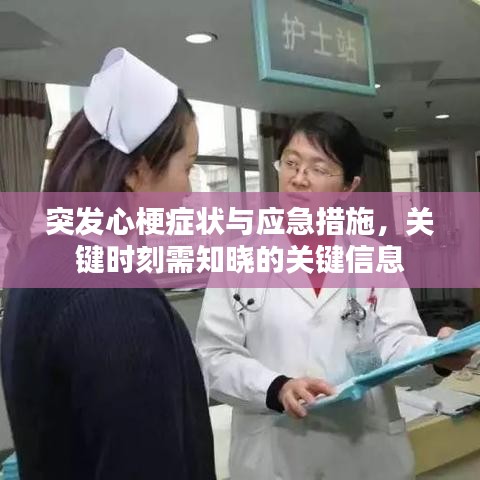 洵属可贵 第6页