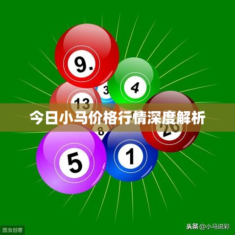 今日小马价格行情深度解析