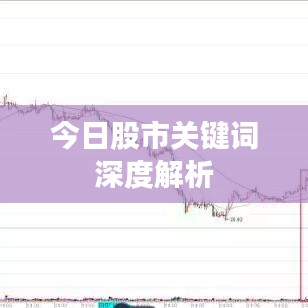 今日股市关键词深度解析