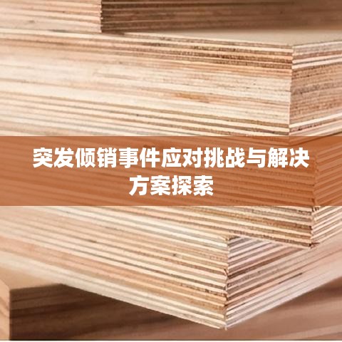 物是人非 第6页