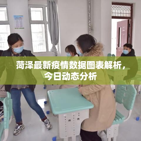 菏泽最新疫情数据图表解析,今日动态分析