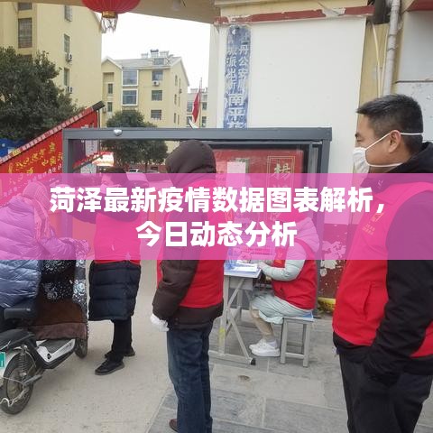菏泽最新疫情数据图表解析,今日动态分析