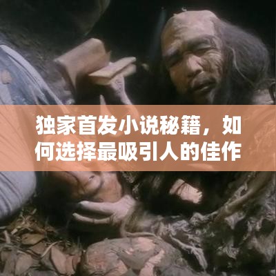 独家首发小说秘籍,如何选择最吸引人的佳作?