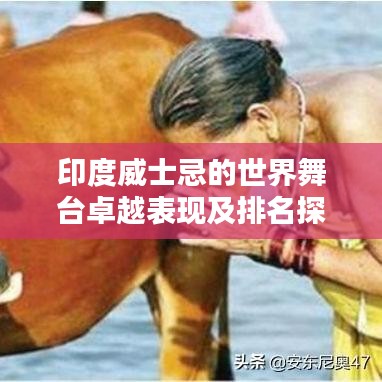 印度威士忌的世界舞台卓越表现及排名探索