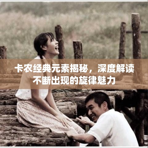 卡农经典元素揭秘，深度解读不断出现的旋律魅力