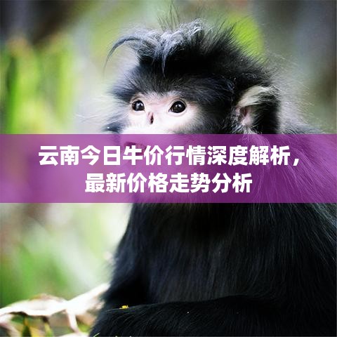 发硎新试 第7页