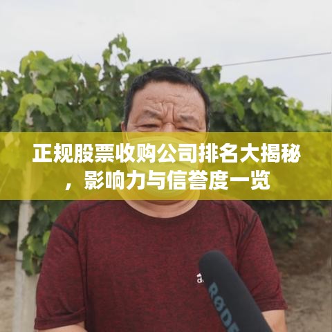 正规股票收购公司排名大揭秘，影响力与信誉度一览