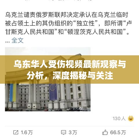 乌东华人受伤视频最新观察与分析，深度揭秘与关注