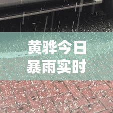 黄骅今日暴雨实时报道,最新消息与动态