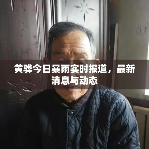 黄骅今日暴雨实时报道,最新消息与动态