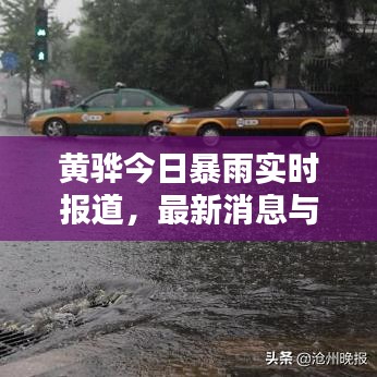 黄骅今日暴雨实时报道,最新消息与动态