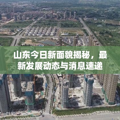 山东今日新面貌揭秘,最新发展动态与消息速递
