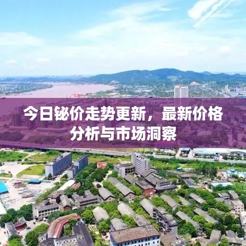 鸟覆危巢 第7页