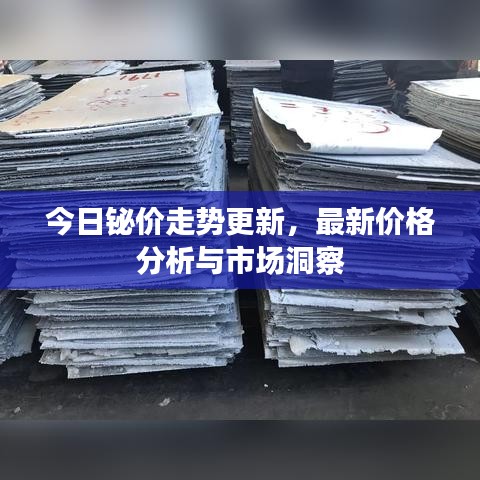 今日铋价走势更新,最新价格分析与市场洞察