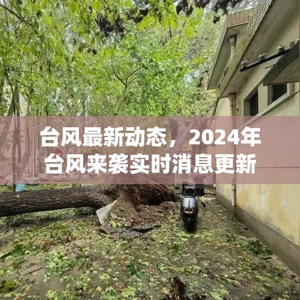 矫枉过正 第6页