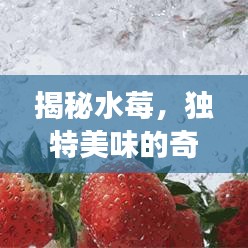 揭秘水莓,独特美味的奇迹果实,让你一尝难忘(百度热门搜索水莓)