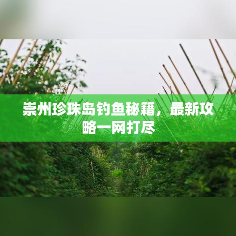 崇州珍珠岛钓鱼秘籍，最新攻略一网打尽