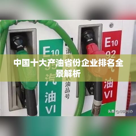 中国十大产油省份企业排名全景解析