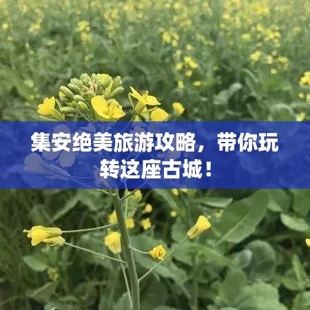 集安绝美旅游攻略,带你玩转这座古城!