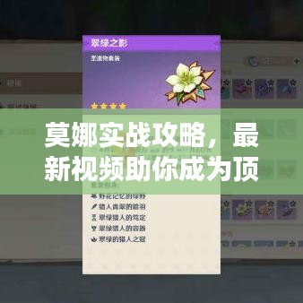 莫娜实战攻略，最新视频助你成为顶尖玩家