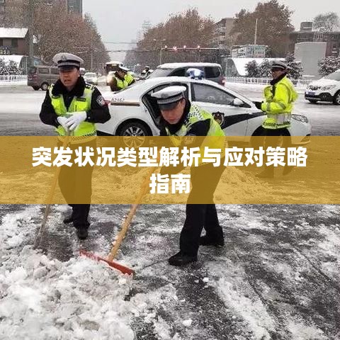 突发状况类型解析与应对策略指南
