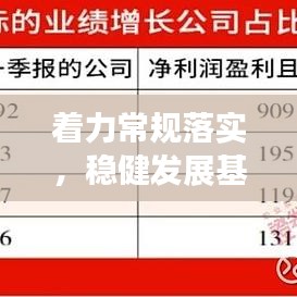 着力常规落实,稳健发展基石构建之路