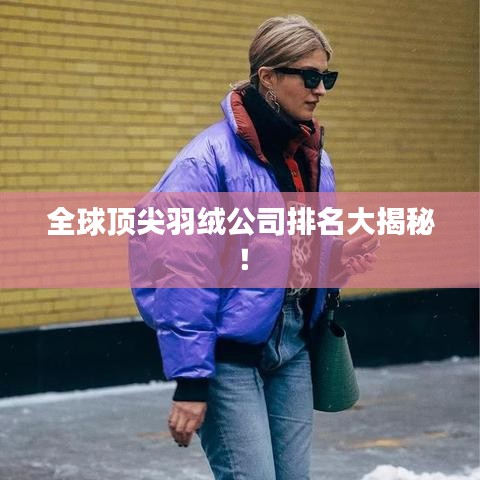 全球顶尖羽绒公司排名大揭秘!