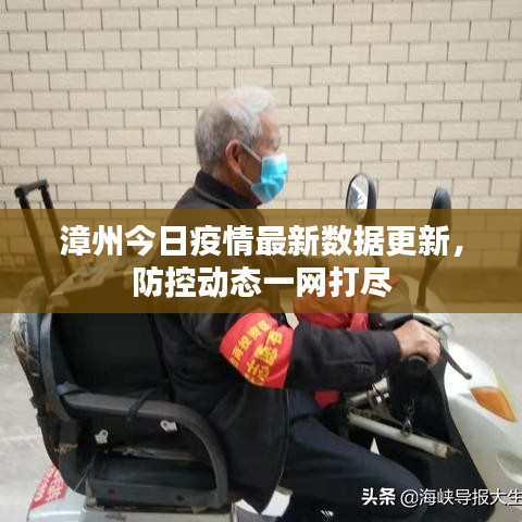 漳州今日疫情最新数据更新，防控动态一网打尽