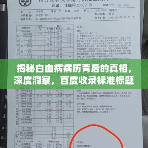 揭秘白血病病历背后的真相,深度洞察,百度收录标准标题
