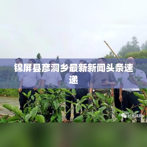 锦屏县彦洞乡最新新闻头条速递