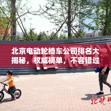 北京电动轮椅车公司排名大揭秘，权威榜单，不容错过！