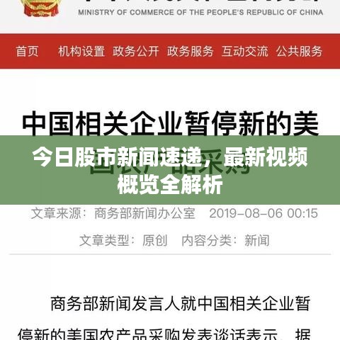 今日股市新闻速递，最新视频概览全解析