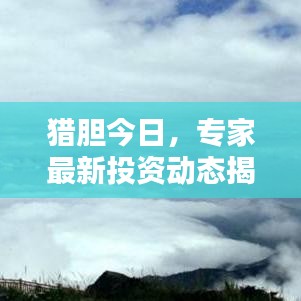 猎胆今日，专家最新投资动态揭秘