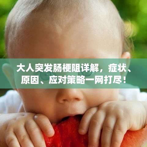大人突发肠梗阻详解,症状、原因、应对策略一网打尽!