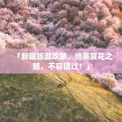 「新疆旅游攻略，绝美赏花之旅，不容错过！」