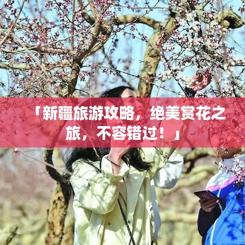 「新疆旅游攻略,绝美赏花之旅,不容错过!」