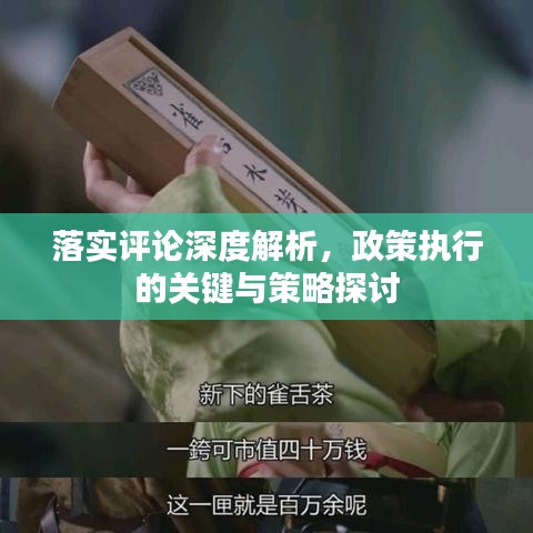 落实评论深度解析,政策执行的关键与策略探讨