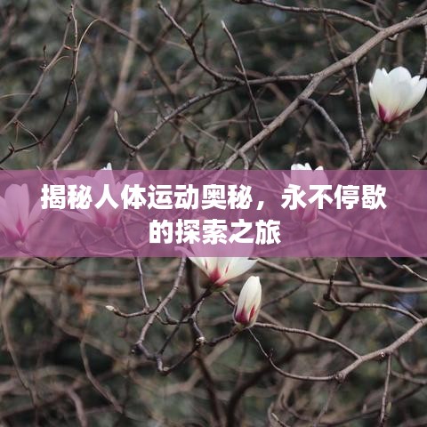 管窥蛙见 第7页