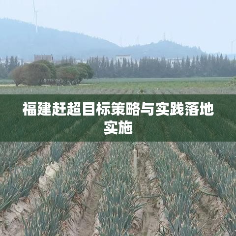 福建赶超目标策略与实践落地实施