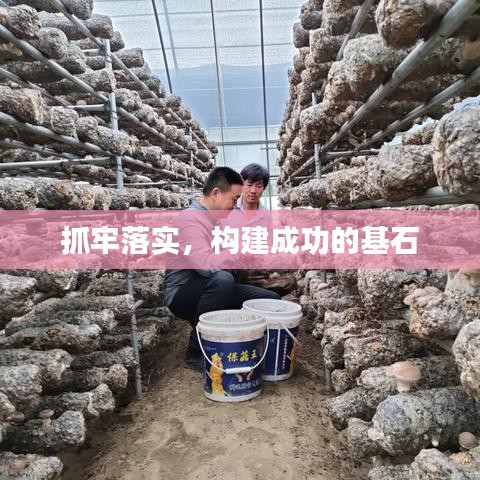 抓牢落实，构建成功的基石
