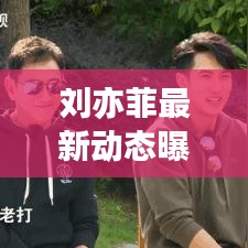 刘亦菲最新动态曝光,今日状况揭秘
