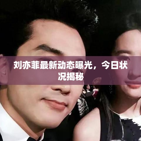 刘亦菲最新动态曝光,今日状况揭秘